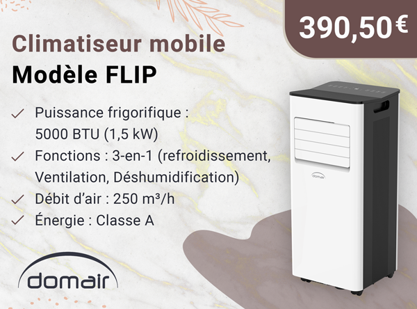 DOMAIR FLIP 003693 - Climatiseur 5000 BTU (1,5 kW) - Classe A