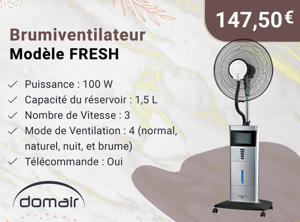 DOMAIR FRESH 003635 - Brumiventilateur - 100 Watts - 3 Vitesses - Gris argenté